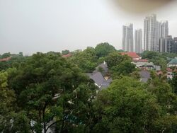 Holland Court (D10), Apartment #568199781